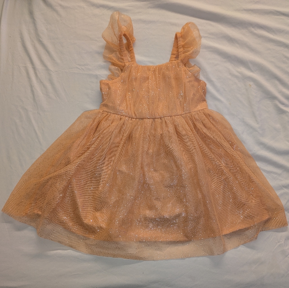 Sparkling Peach Tulle Dress